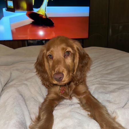 Cosy City Centre Guest Room Shared Home Galway Esterno foto